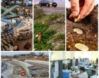 ​Business report ​Plafonarea terenurilor în proprietate. Țară în service. Modificări la Codul fiscal și de procedură fiscală. Mașinile pot fi înmatriculate nu doar în reședințele de județ. BNR a cheltuit un miliard de euro ca să susțină leul. Strategia de administrare a datoriei publice – Finante & Banci