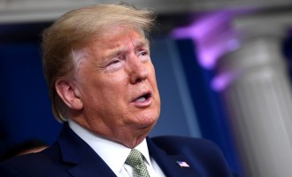 Germania critică sugestia lui Trump de a vota de două ori – International