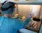 Genele moștenite de la neandertalieni sunt un factor de risc pentru COVID-19 – studiu – Coronavirus