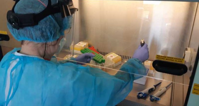 Genele moștenite de la neandertalieni sunt un factor de risc pentru COVID-19 – studiu – Coronavirus