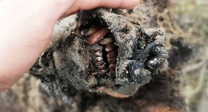 Un urs de peșteră, foarte bine conservat, descoperit după topirea permafrostului arctic – Arheologie