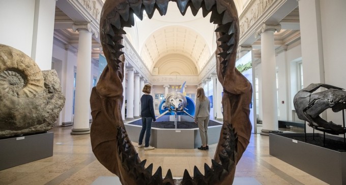 Malta anunță că îl lasă pe prințul George să păstreze dintele de megalodon primit cadou de la David Attenborough – International