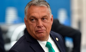 Viktor Orban respinge criticile Comisiei Europene: „Birocraţii de la Bruxelles pot spune ce vor. Apărarea noastră contra coronavirusului a fost cea mai reuşită din Europa” – International