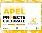Apel de proiecte culturale – Camine in Miscare