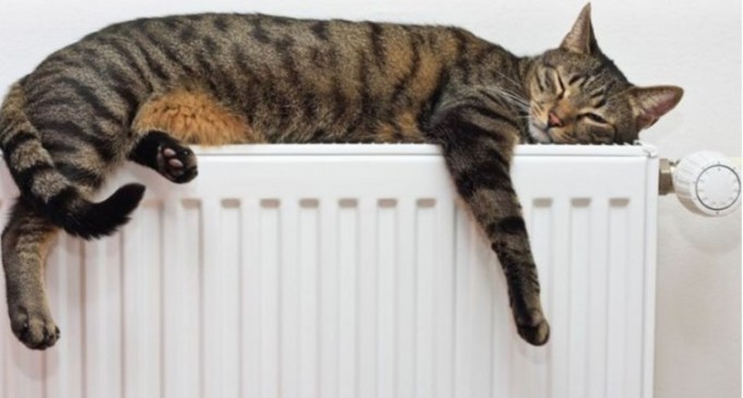 Cumpără radiatoare și elemenți radiatoare din aluminiu