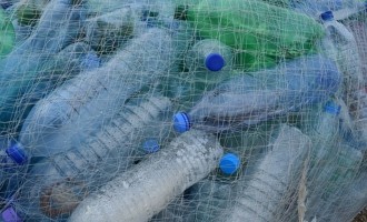 webPR: Tu hrănești ”Monștrii din groapă”? – Mediu