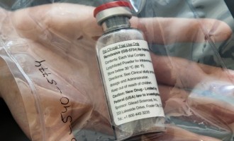 Statele Unite autorizează pe deplin remdesivirul / Acțiunile Gilead au crescut rapid – Coronavirus