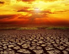 ONU: Pământul ar putea deveni un „iad nelocuibil” din cauza schimbărilor climatice și a pandemiei de COVID-19 – Terra
