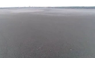 VIDEO Dezastru ecologic: Lacul Iezer Călărași a secat complet – Esential