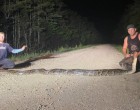 Piton de aproape 6 metri lungime capturat în Florida – International