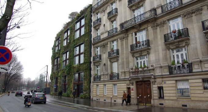 Primăria Sectorului 4 vrea să acceseze fonduri prin Green Deal pentru a amenaja grădini verticale pe fațadele blocurilor și pe clădiri publice – Administratie Locala