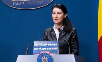 Violeta Alexandru: Inspecţia Muncii este ruptă de societate şi realitate. Planurile lor de control sunt de o formalitate care mă îngrozeşte – Esential