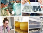 ​Business report: ​​Urgia la Academia de Poliție (XIV). Drumul spre Nevera. Așteptări și aspirații. Prizonier în aeroport. Eficiența administrației publice din România este sub zero la scală europeană – Finante – Banci