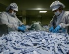 Secretar de stat în Ministerul Educaţiei: Există o reticenţă din partea famiilor elevilor pentru testare Covid – Coronavirus
