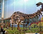 De ce unii dinozauri aveau gâturi atât de lungi – Arheologie