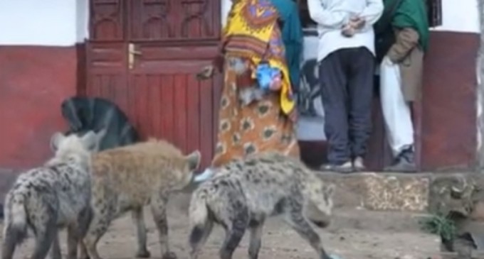 Zimbabwe: Hienele l-au târât pe un bărbat din pat în afara casei și l-au ucis – International