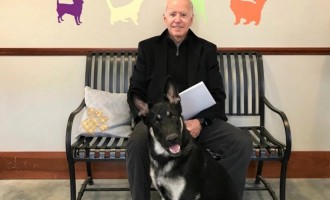 Joe Biden și-a scrântit glezna în timp ce se juca cu câinele său – International