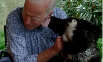 VIDEO Câinii se întorc la Casa Albă: Ciobănescul german al lui Biden va fi primul câine de salvare care va ajunge în reședința președintelui SUA – Showbiz
