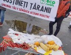 Ecologiștii susțin protestul producătorilor autohtoni și a legumicultorilor