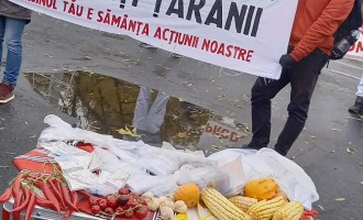 Ecologiștii susțin protestul producătorilor autohtoni și a legumicultorilor
