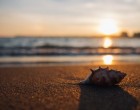 Alege vacanţa la Mamaia pentru un concediu plin de distracţie şi relaxare