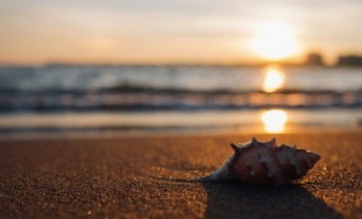 Alege vacanţa la Mamaia pentru un concediu plin de distracţie şi relaxare