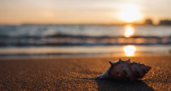 Alege vacanţa la Mamaia pentru un concediu plin de distracţie şi relaxare
