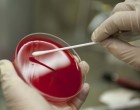 Marea Britanie și Roche spun că testele Covid pot detecta și noua tulpină a coronaviruslui – Coronavirus