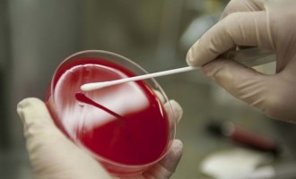 Marea Britanie și Roche spun că testele Covid pot detecta și noua tulpină a coronaviruslui – Coronavirus