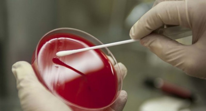 Marea Britanie și Roche spun că testele Covid pot detecta și noua tulpină a coronaviruslui – Coronavirus