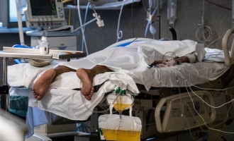 Il Giornale: Descoperire despre COVID-19: Este capabil să invadeze creierul – Coronavirus