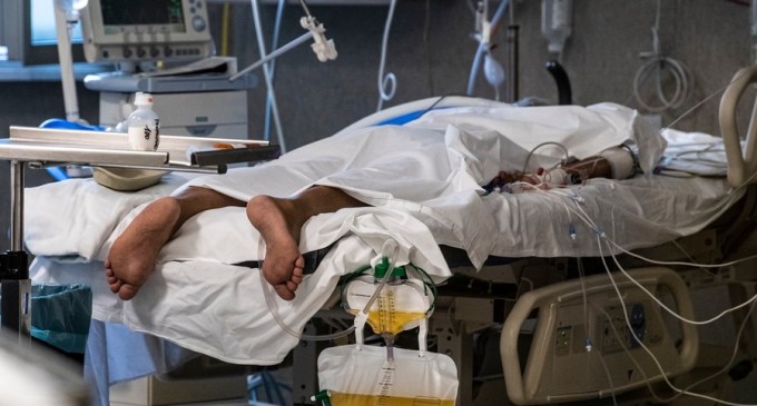 Il Giornale: Descoperire despre COVID-19: Este capabil să invadeze creierul – Coronavirus