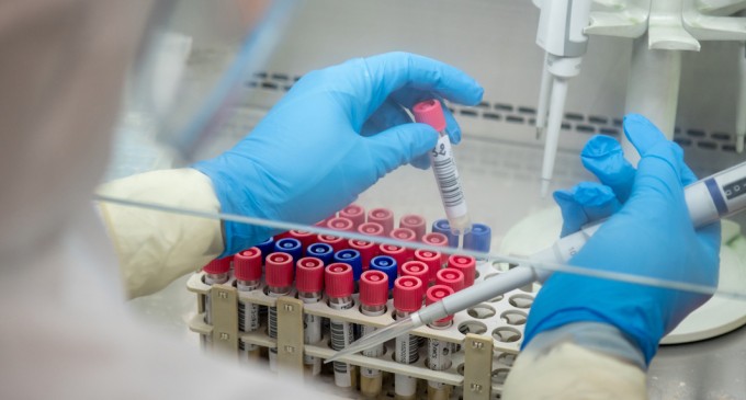 Muntenegru introduce obligativitatea unui test molecular tip PCR cu rezultat negativ la intrarea în țară – Coronavirus