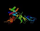 „Avans uluitor”: Un AI DeepMind a rezolvat o problemă veche de 50 de ani privind structura proteinelor – Stiintele vietii