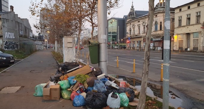 Romprest anunţă că va colecta gunoiul de pe domeniul public din Sectorul 1 / Clotilde Armand: Înseamnă că au ales să respecte obligațiile contractuale – Administratie Locala