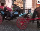 Roma limitează trăsurile trase de cai doar la parcuri – International