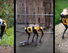 Hyundai va cumpăra Boston Dynamics, companie cunoscută pentru roboții săi spectaculoși – IT