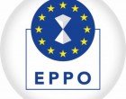 Ministerul Justiției anunță declanșarea procedurii de selecție a candidaților pentru funcția de procuror european delegat în România / Criteriile de selecție – Esential