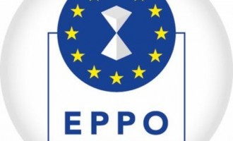 Ministerul Justiției anunță declanșarea procedurii de selecție a candidaților pentru funcția de procuror european delegat în România / Criteriile de selecție – Esential