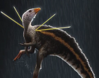 Un dinozaur cu ”păr” și ”panglici” a fascinat oamenii de știință – Arheologie