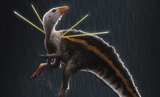 Un dinozaur cu ”păr” și ”panglici” a fascinat oamenii de știință – Arheologie