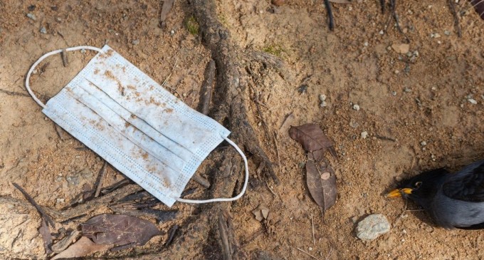 Coronavirus: SUA vor înregistra peste 3 milioane de decese într-un singur an pentru prima dată în istorie – Coronavirus