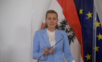 Ministrul muncii șia dat demisia după ce a fost acuzată de plagiat. Aschbacher susține însă că nu făcut nimic greșit – International