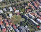 Șeful Direcției de Mediu din Primăria Capitalei, demis după ce a dat aviz pentru avizarea a zeci de arbori din centrul Bucureștiului – Administratie Locala