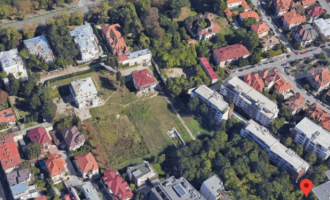 Șeful Direcției de Mediu din Primăria Capitalei, demis după ce a dat aviz pentru avizarea a zeci de arbori din centrul Bucureștiului – Administratie Locala