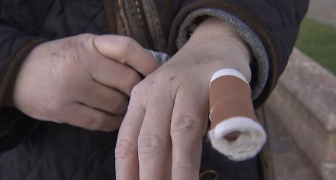 VIDEO New York: O serie de atacuri ale veverițelor i-a îngrozit pe rezidenții din Queens: ”A fost atât de rapid și sângeros” – International