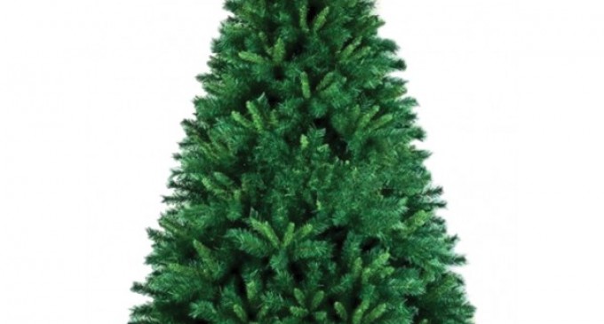 Profita de oferta brazi artificiali de vanzare pe BraziCraciun.net!