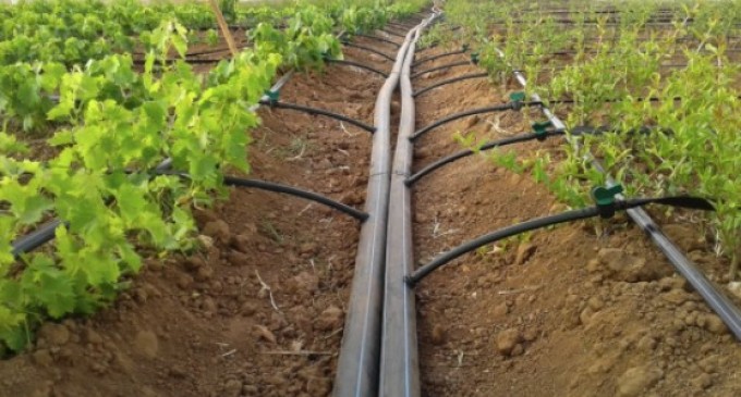 Sisteme de irigat moderne cu software