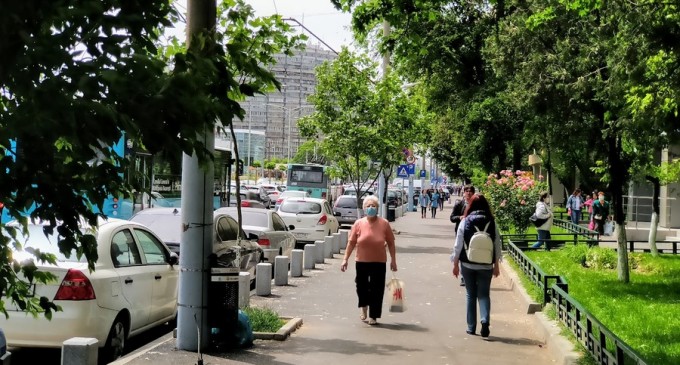 Primăria Sectorului 6 vrea să încheie un acord-cadru de până la 360 milioane lei pentru amenajarea și întreținerea spațiilor verzi – Administratie Locala