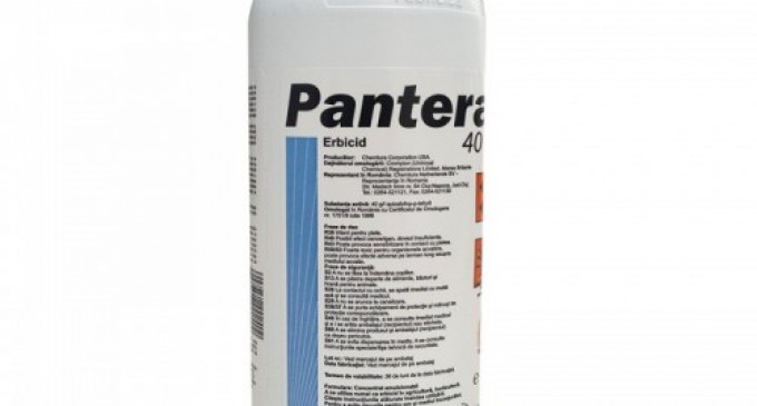 De ce se recomanda erbicidul Pantera pentru indepartarea buruienilor din culturi?